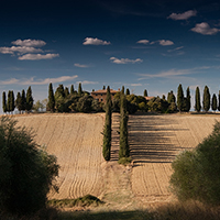 求稳定电话接收平台